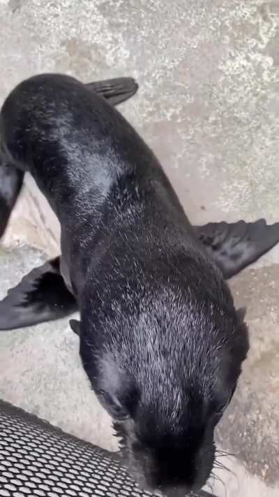 He wants to be friends