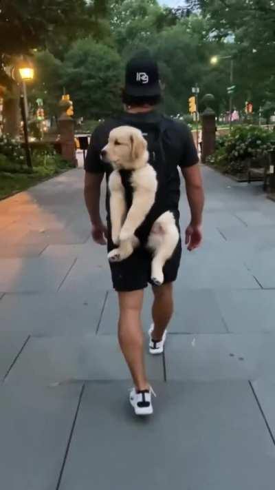 One of the options for conducting your walk.