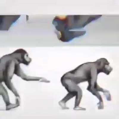 History channels at 3am be like :