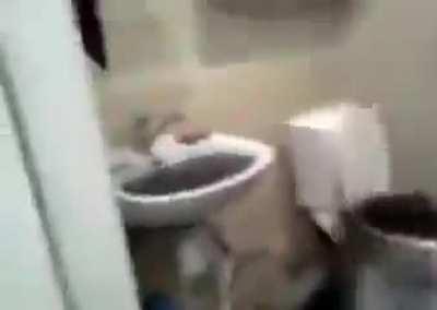 Bendy and the toilet clog