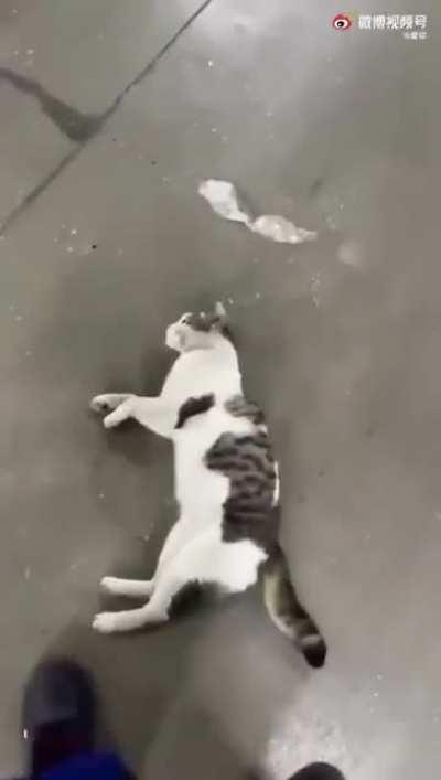 The sliding cuddle roll