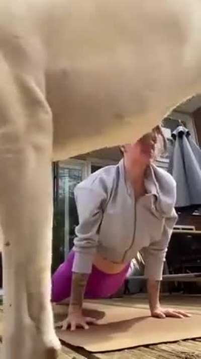 🔒 Yeah, This One's Gonna Get Locked Real Quick Like!