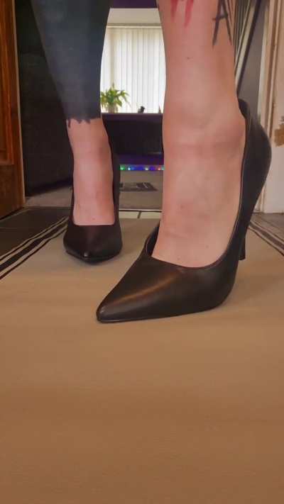 Heels 1 Mealworm 0 Full video available