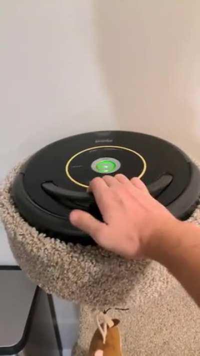 Got a new scratch post and it turns out the Roomba is a perfect fit!