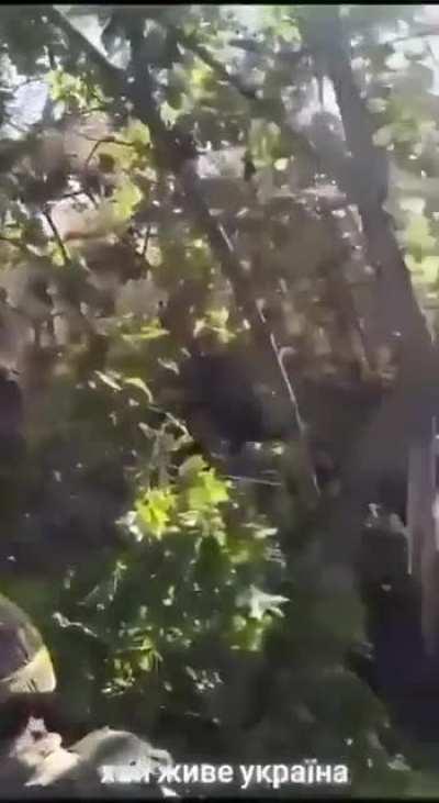 Volunteer soldiers from Colombia, Mexico, Chile and Argentina praying in Spanish before launching an assault on the Russian Army in the Zaporizhzhia region.
