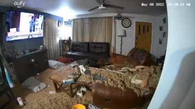 The audacity of this universe