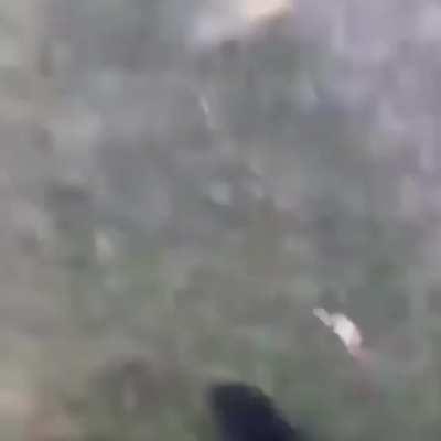 RedHead Landed Some Really Good Shots