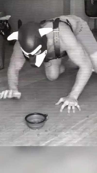 look at this cool app