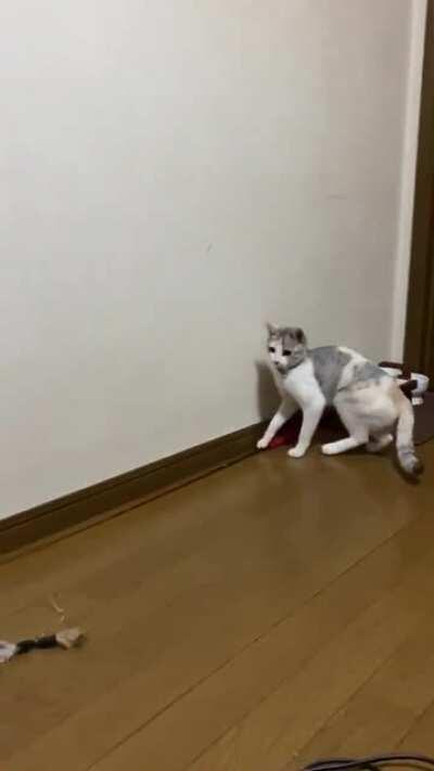 No humans, Mo problems