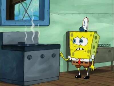 The Orignial Fry Cook