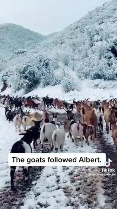 Today was the first time…