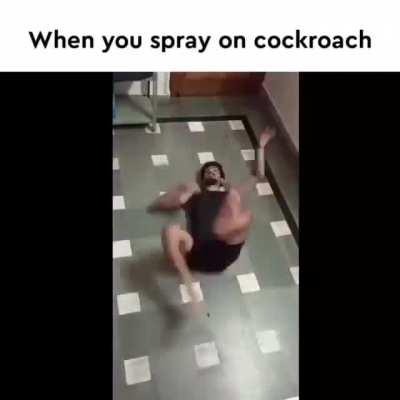 Cockroach