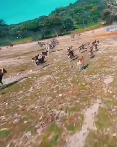 WCGW getting a close up?