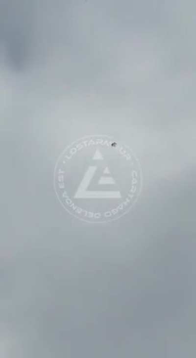 Yolka drone takes out Ukrainian UAV