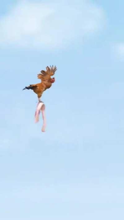 Losercity peak cinema 