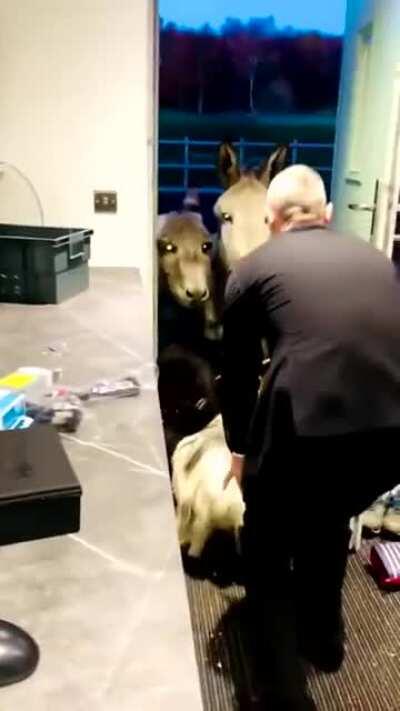 Watch the revolution come alive. This is our world, This is our time, Can’t stop us now, We have arrived! We have arrived!