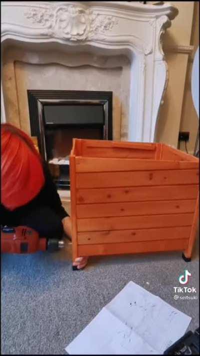 Person helping a stray cat.