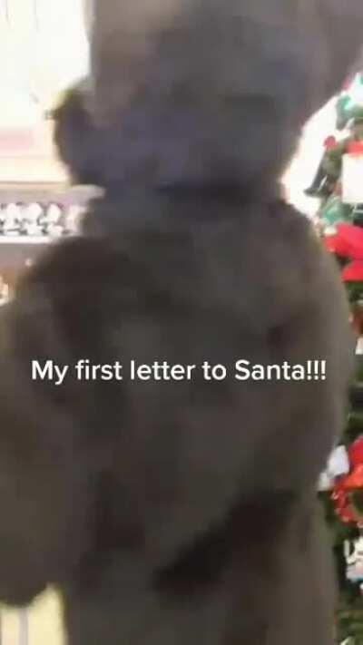 Santa_IRL