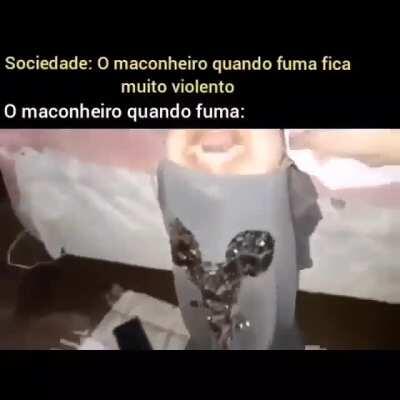 Olha como os maconheiros são gente boa muquinha