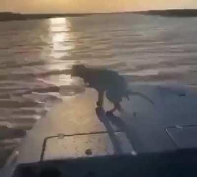 Заебись местечко