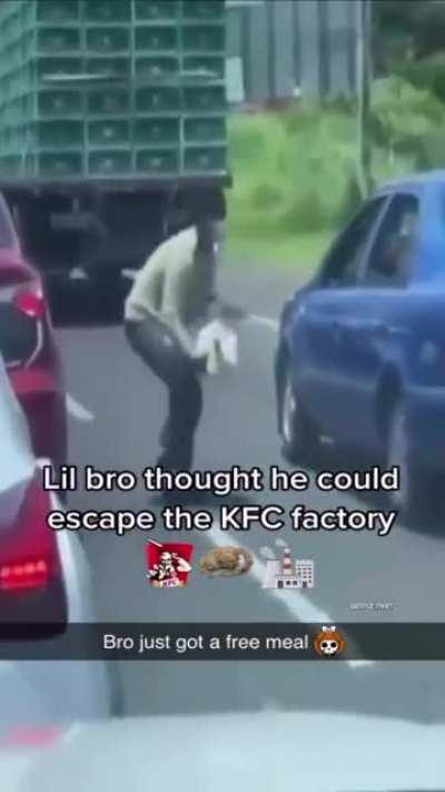 🐔