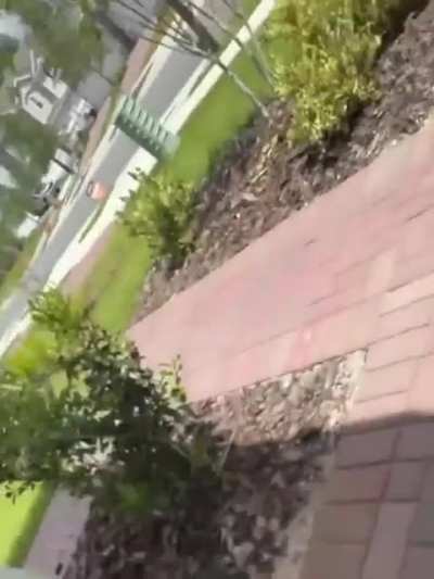 She Thick Asa Bih Doe