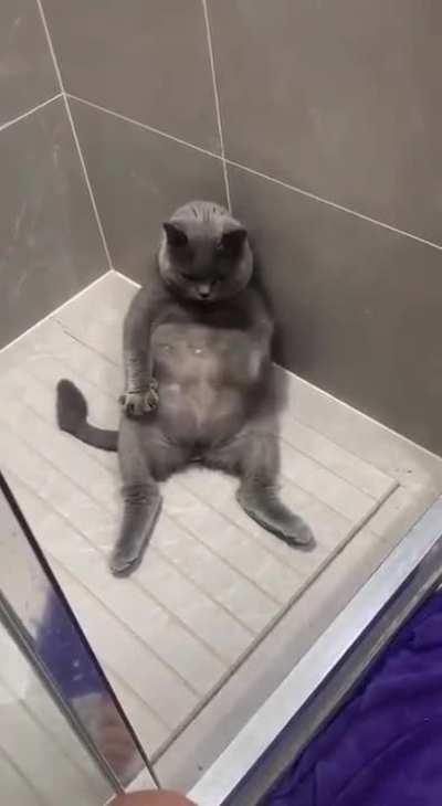 And hello to you, leather 😂