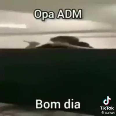 Quero o link mas primeiro como tá a noite dos ADM?