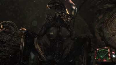 Pinned by Xenomorph