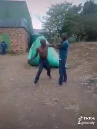 Crouching Lion, Biting snake.