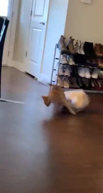 She isn't a fan of clingy paper bags