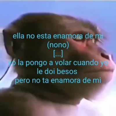 yo la pongo a volar cuando le digo porque me grita, pero no esta enamora de mi</3
