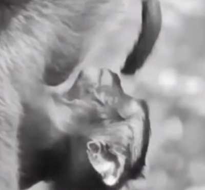 Hold on apes, the squeeze is coming...