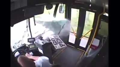 Deer gets hit by bus then goes flying!!