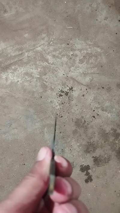 🔥Gomai Nakiri | 52100 Core • Damascus & Nickel Shim Jacket • S-Grind for Superior Food Release🔥