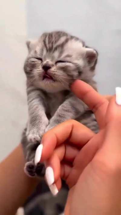 Hes getting soo sleepy