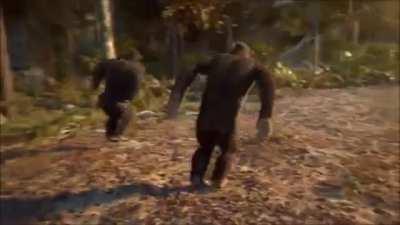 Mirage mains this season