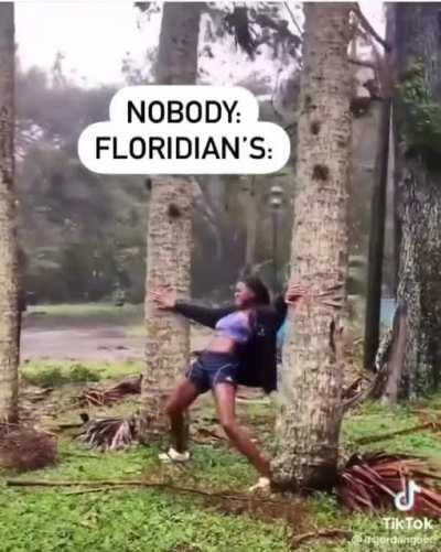 saw this on Instagram