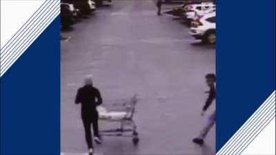 Thief gets carted
