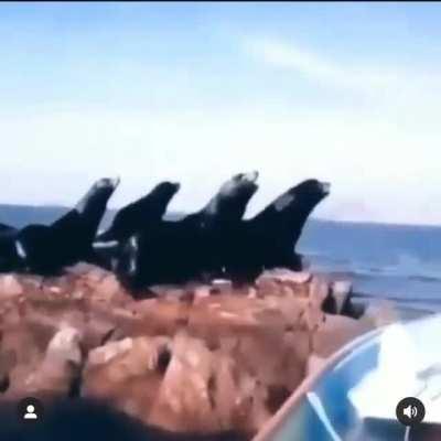 It’s not the size of the dog in the fight, it’s the size of the fight in the dog