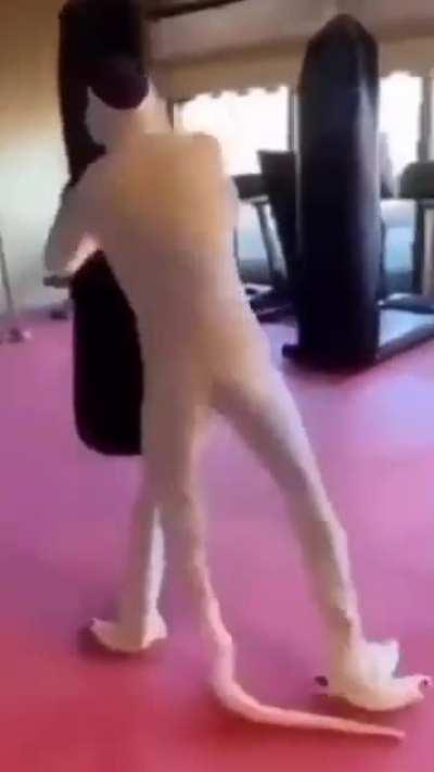 Frezzer! Pq vc mamou o kuririn?!