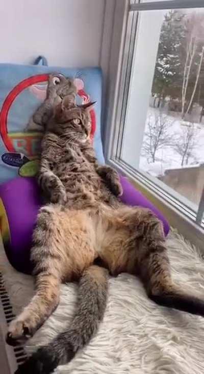 My Sunday looks like this 😍🙈😁