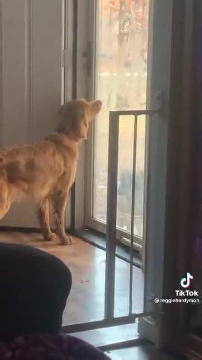 Seriously dude, I got you…just give me one more try