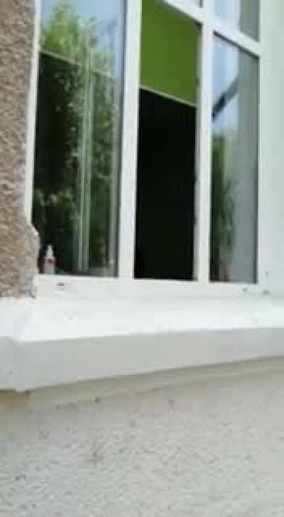 ac CES petru perzonele dim galațzi