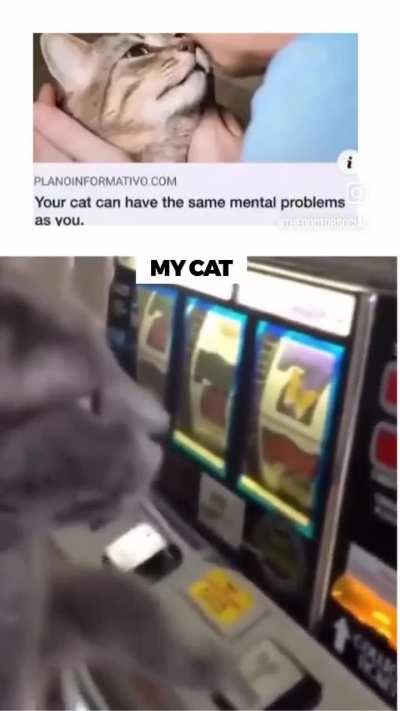 Wunk destroys life through crippling gambling addiction