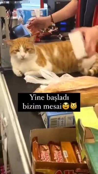 What's that in the jar?