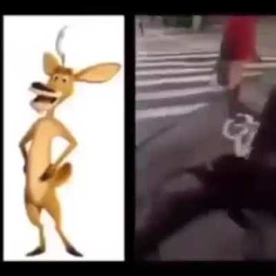 eu queria MUITO conhecer esse cara...