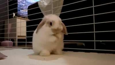 When you take your time getting ready in the morning and realize you’re late for work