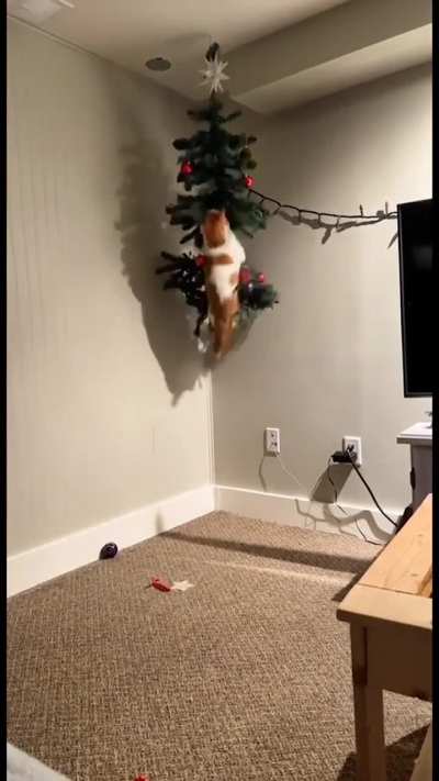 It’s nearly that time