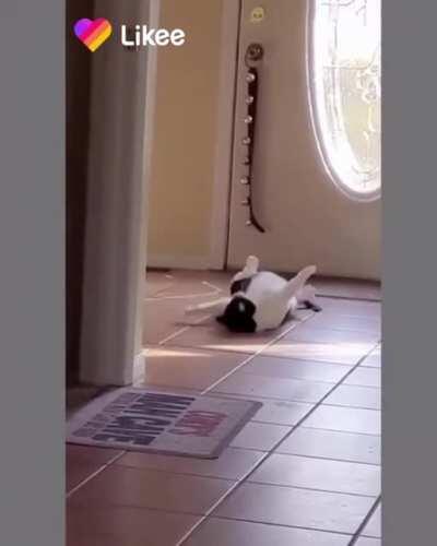 Error During Tail Calls